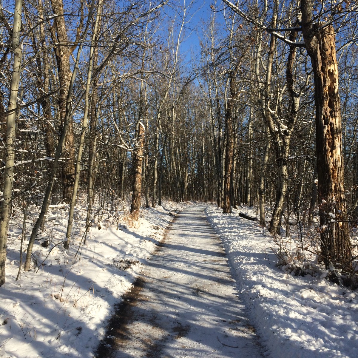 5 Things I Want To Do More of In The New&nbsp;Year