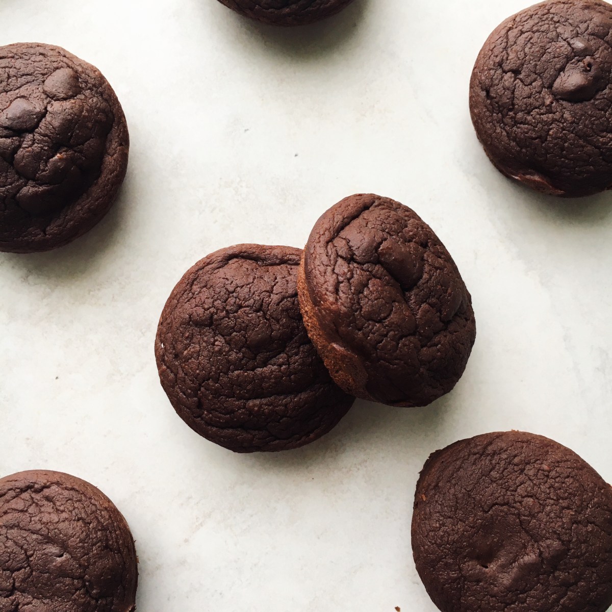 Flourless Chocolate Muffins